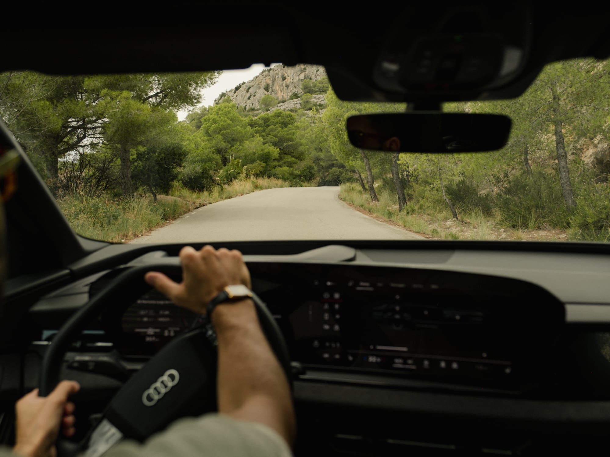 a person driving a car