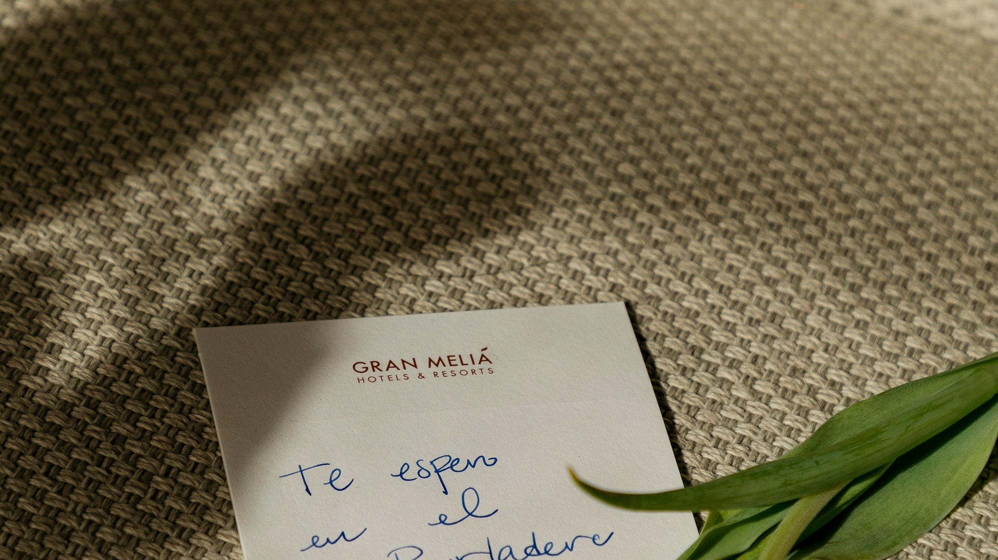 a red tulip and a note on a carpet