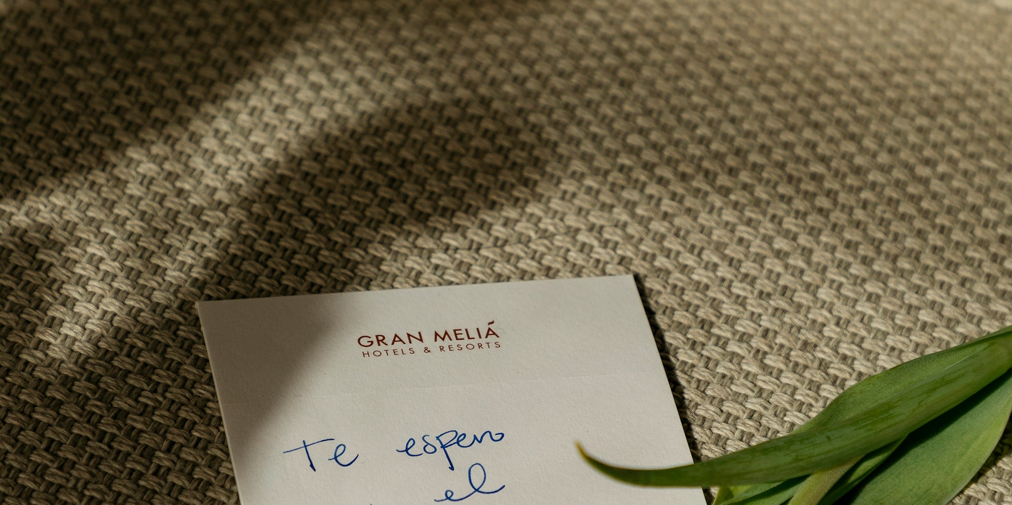 a red tulip and a note on a carpet