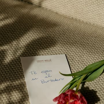 a red tulip and a note on a carpet