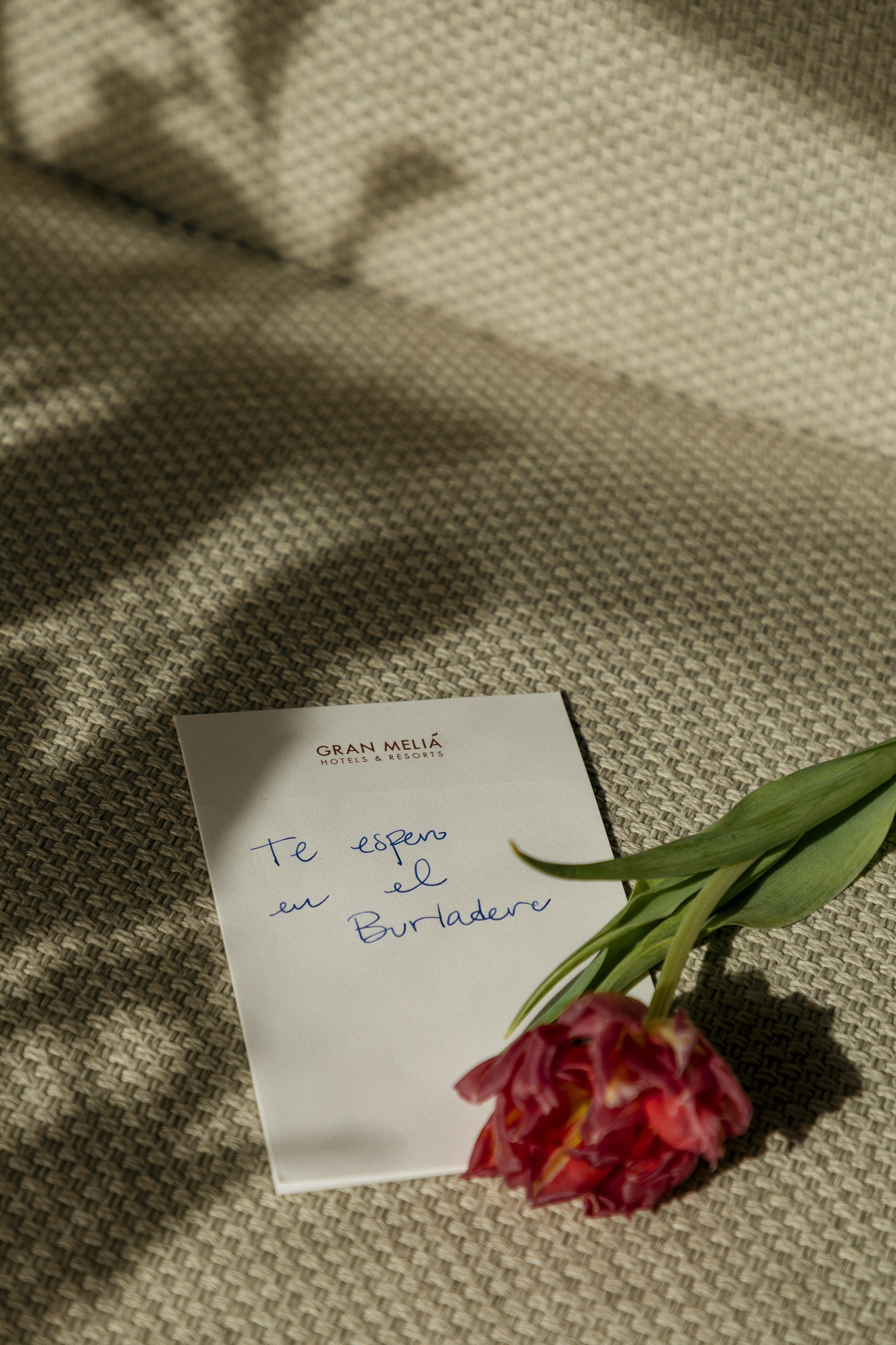 a red tulip and a note on a carpet