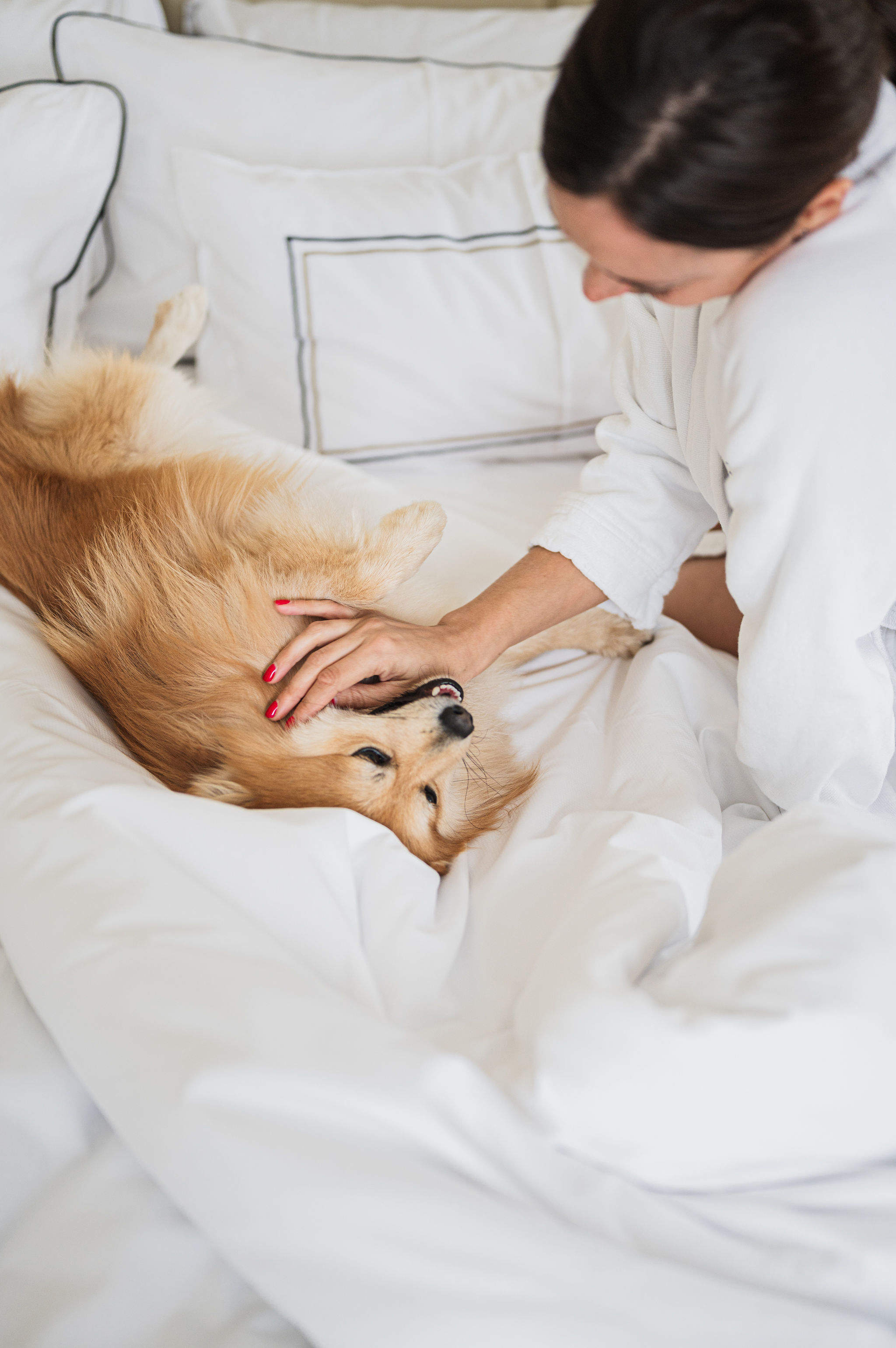 Woman petting a happy golden retriever dog on a white bed.