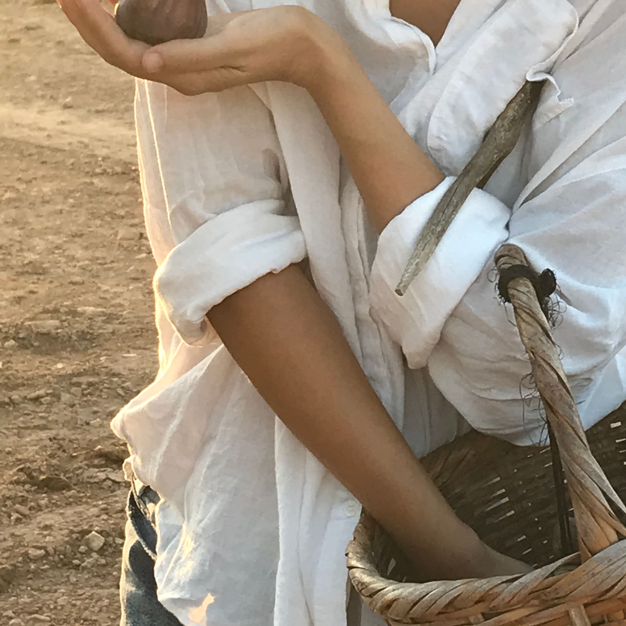 a person holding a garlic in their hand