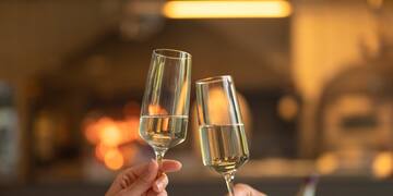 a pair of hands holding wine glasses