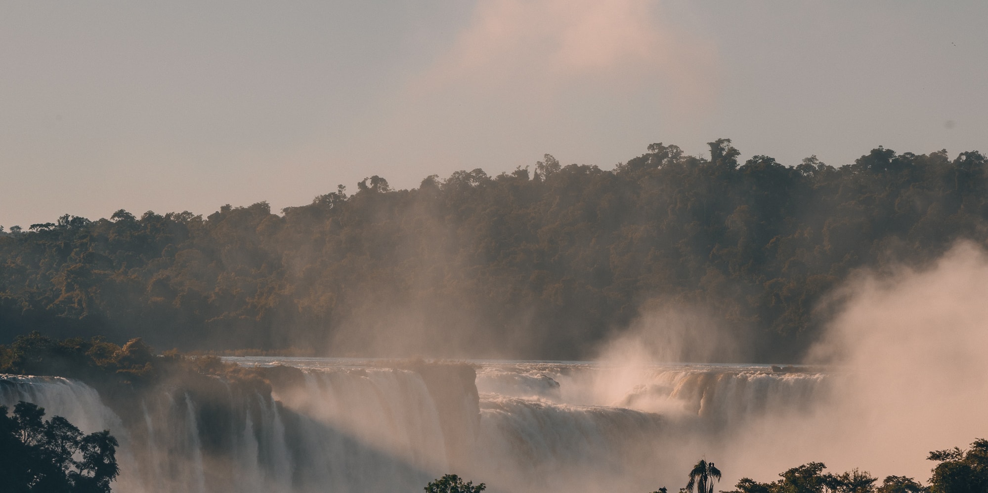 a waterfall with trees and fog