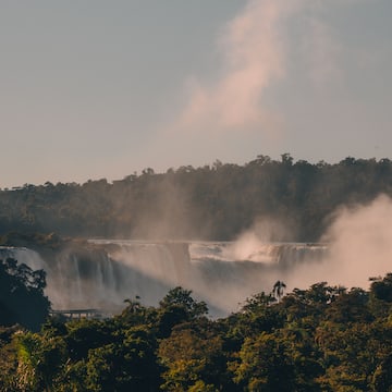 a waterfall with trees and fog