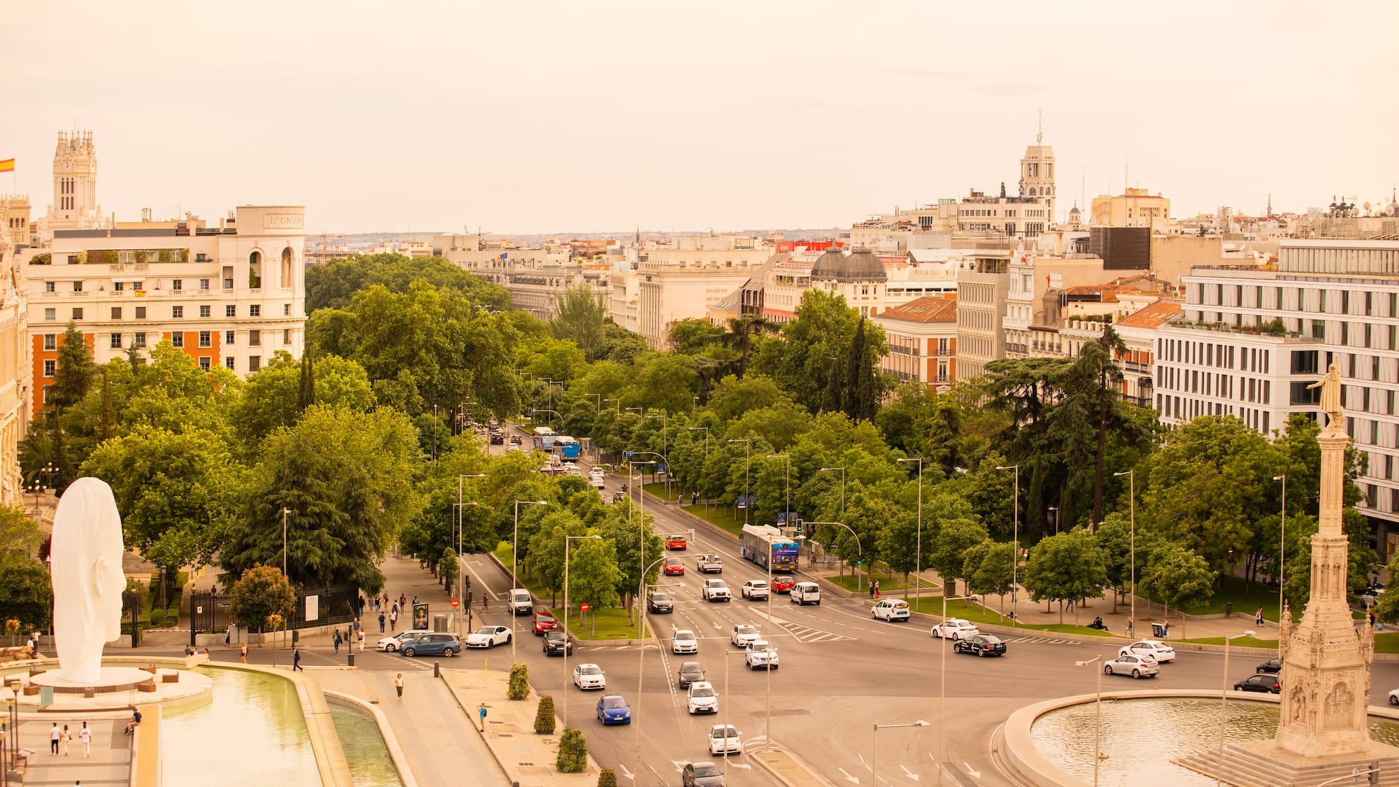 a city with cars and trees