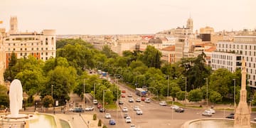 a city with cars and trees