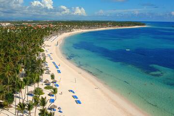 a beach with palm trees and blue water