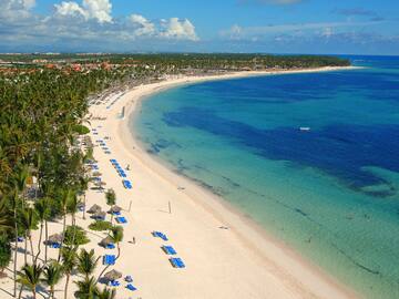a beach with palm trees and blue water