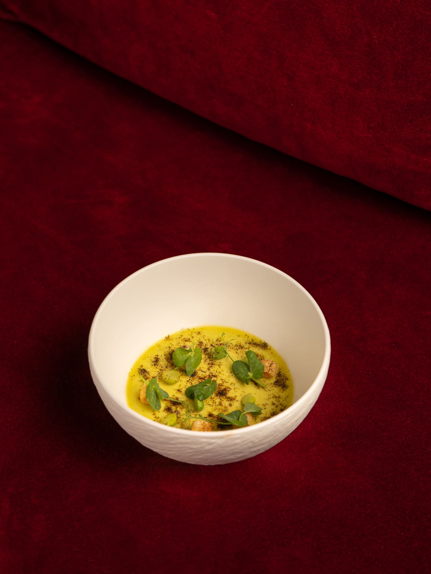 Gourmet yellow cream soup with herbs and croutons on red velvet.