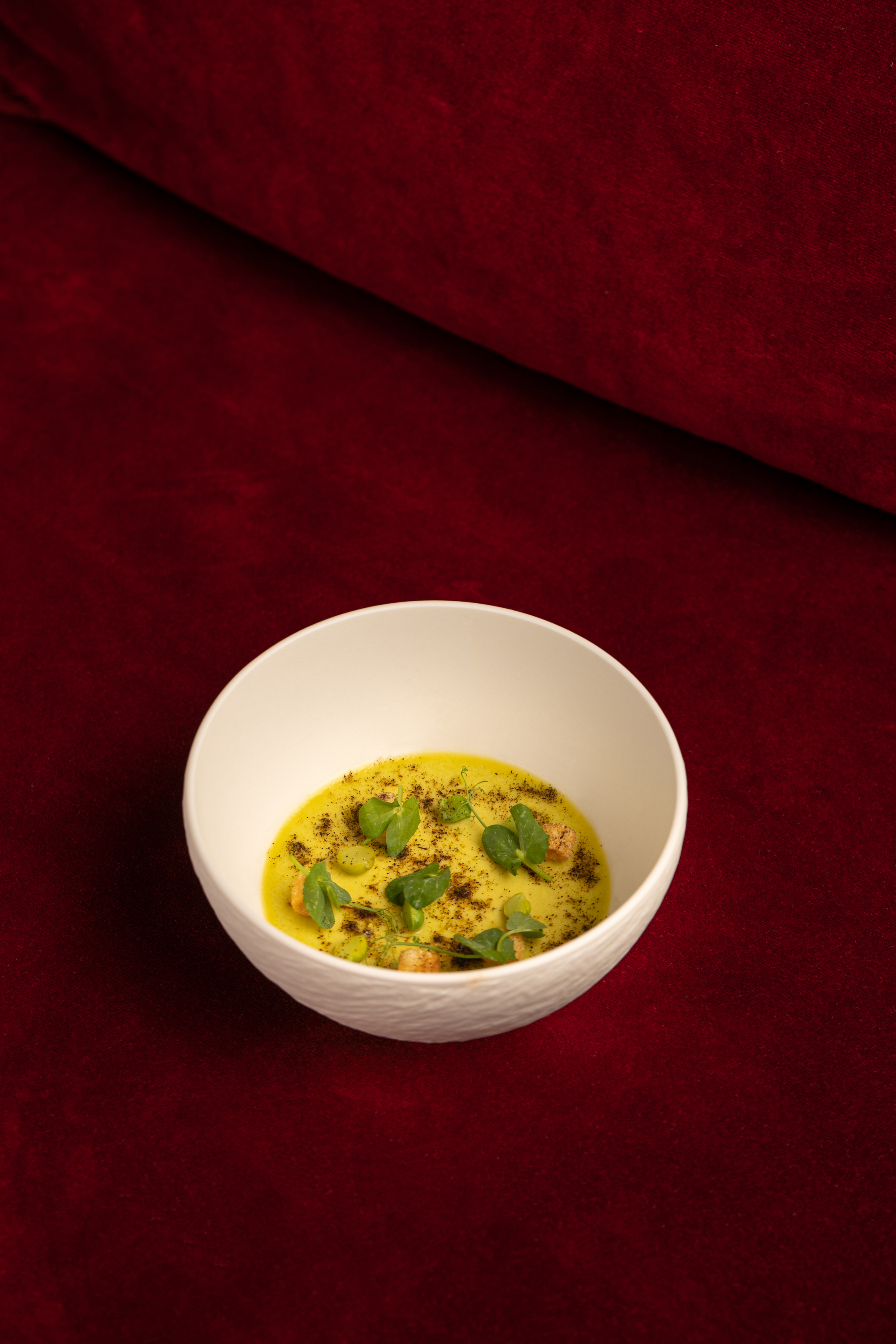 Gourmet yellow cream soup with herbs and croutons on red velvet.