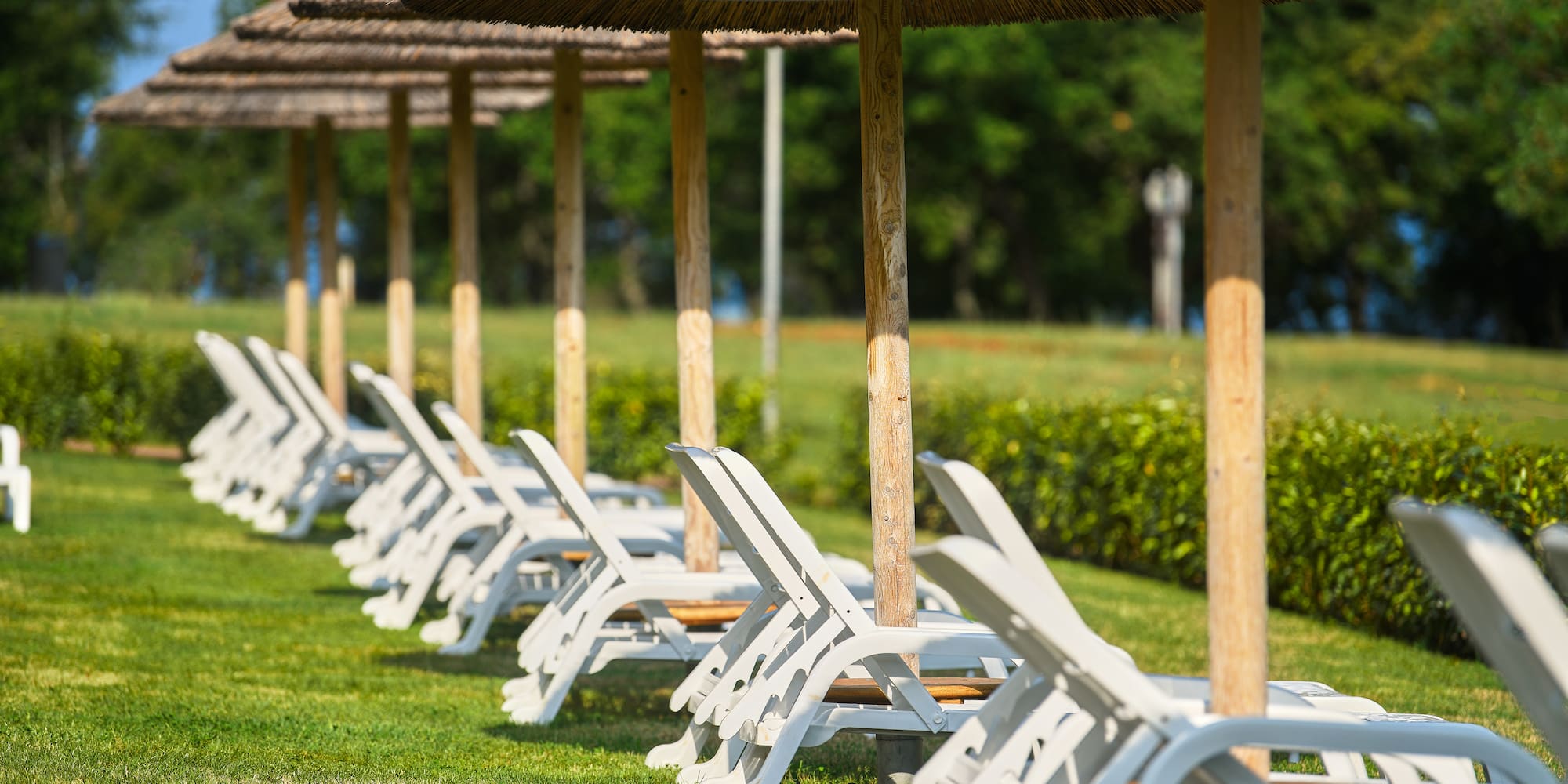 a row of chairs and umbrellas