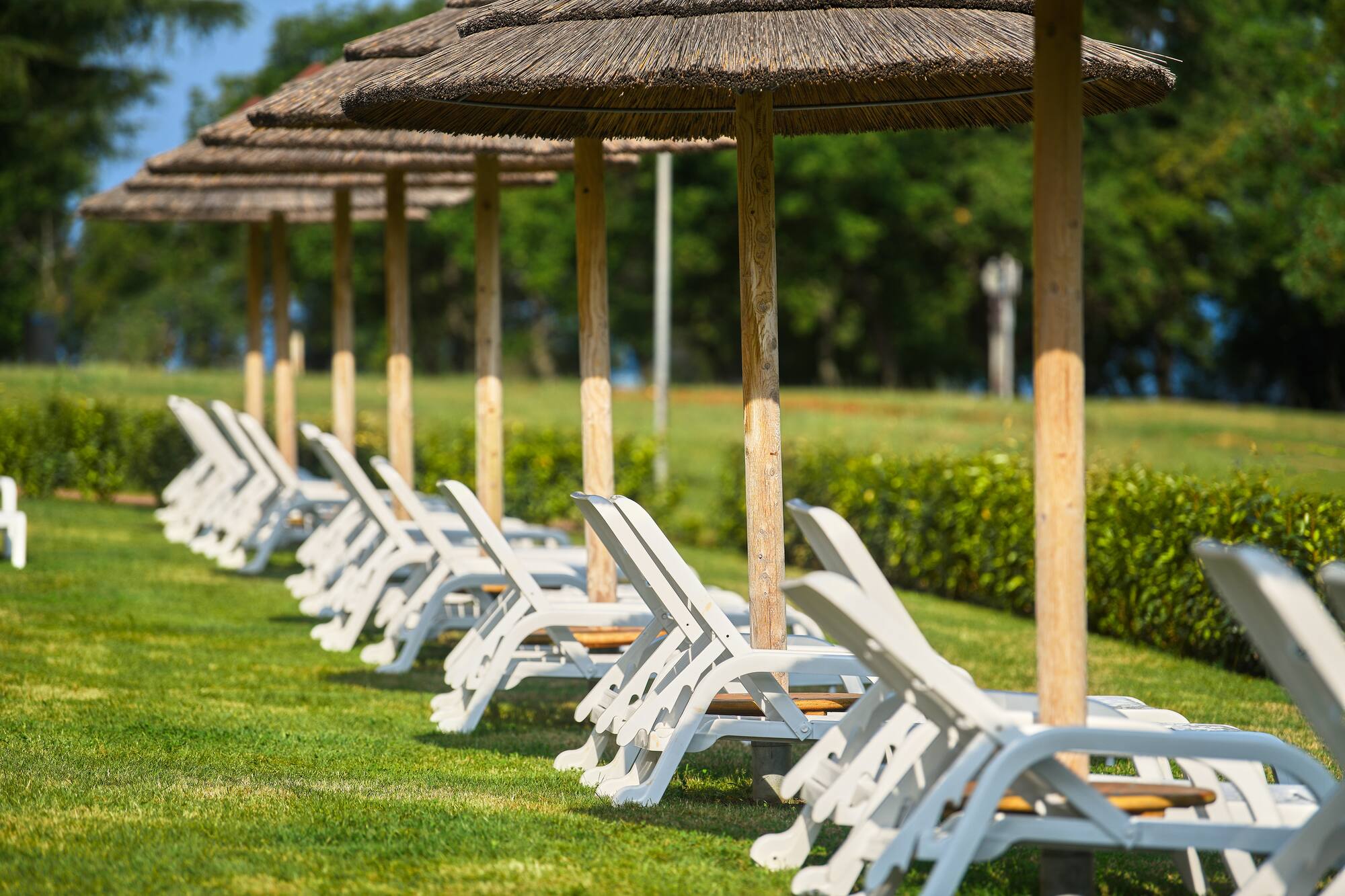a row of chairs and umbrellas