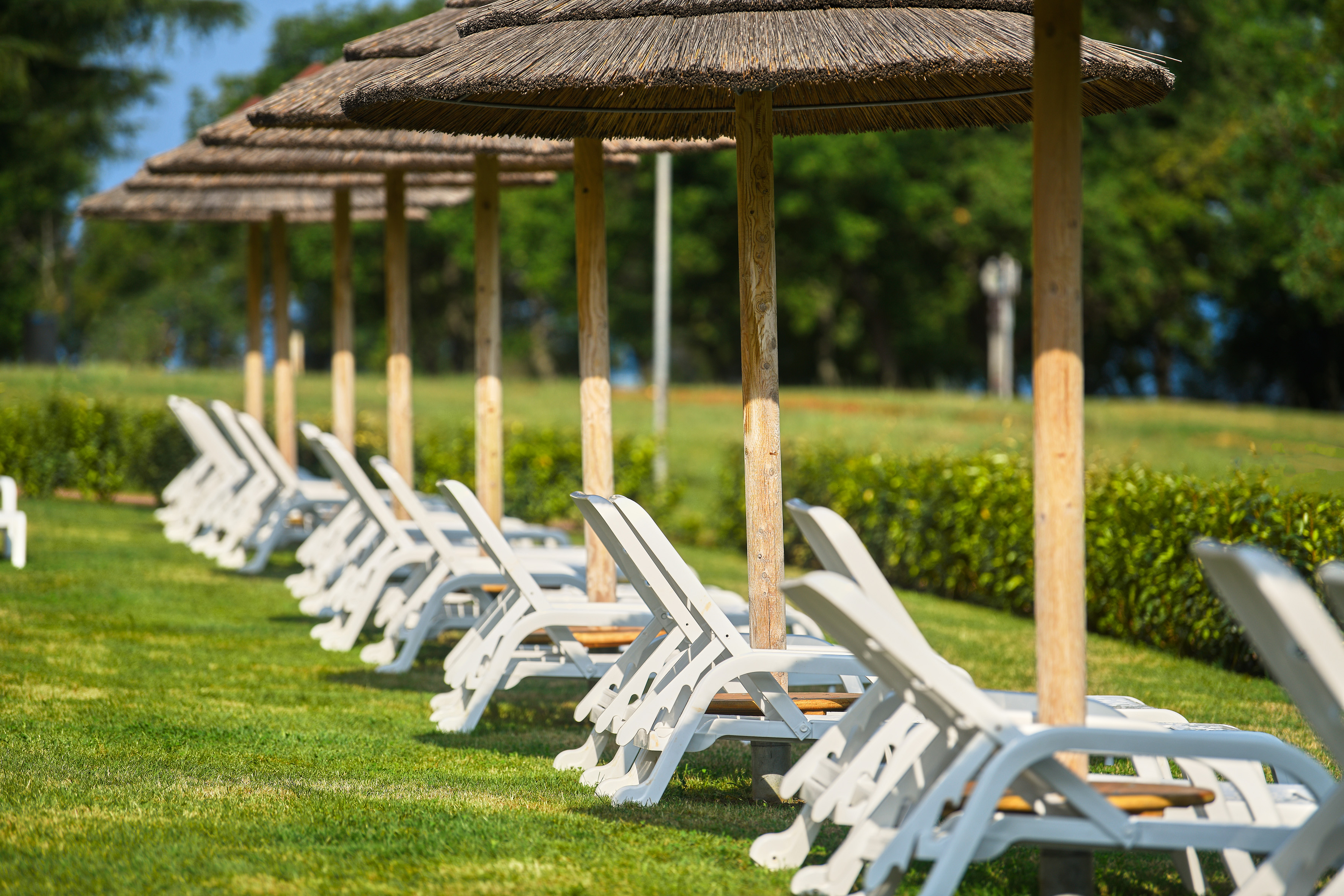 a row of chairs and umbrellas