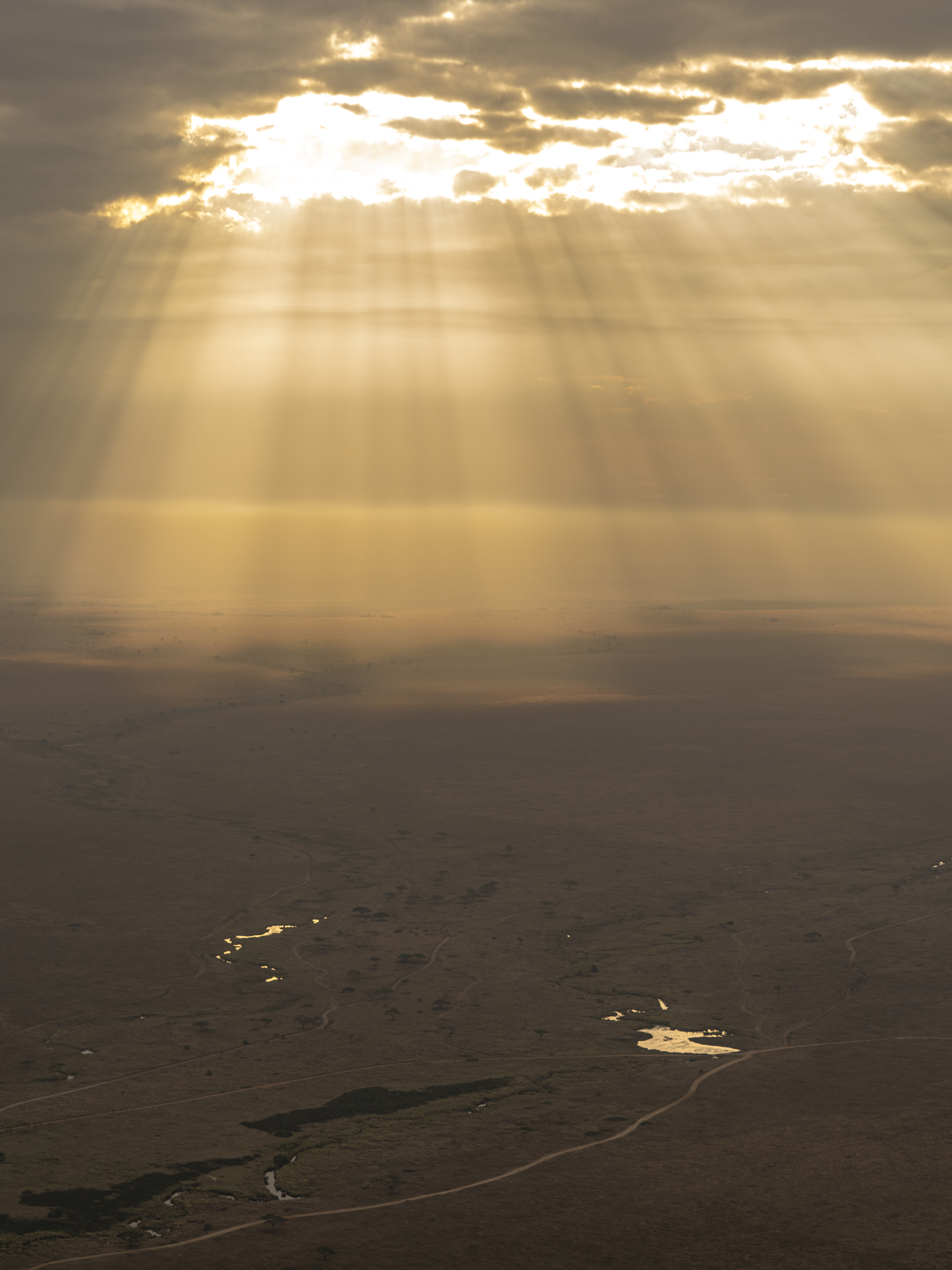 Golden sunbeams through clouds over vast savanna landscape with winding rivers at sunrise.