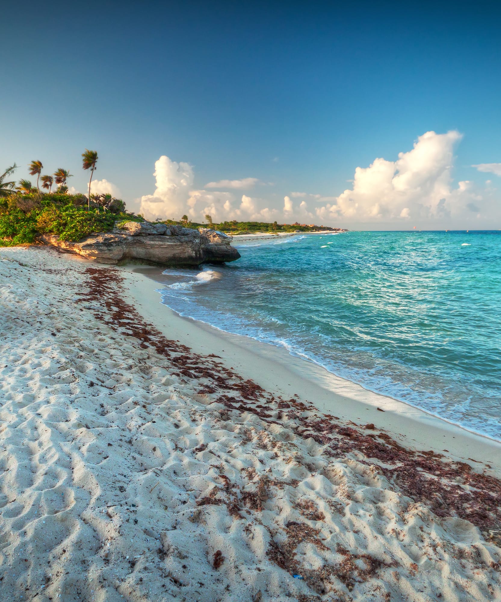 Playa caribeña de arena blanca, mar turquesa, palmeras y rocas.