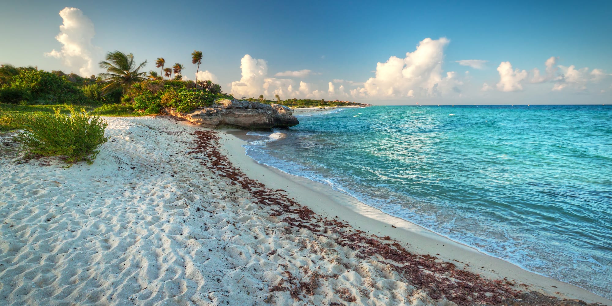 a beach with palm trees and blue water