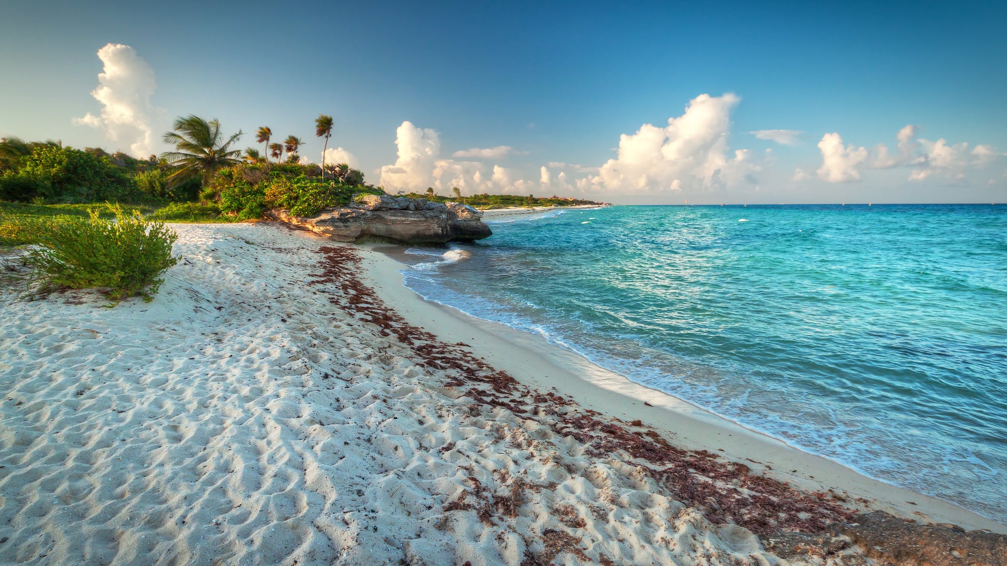 a beach with palm trees and blue water