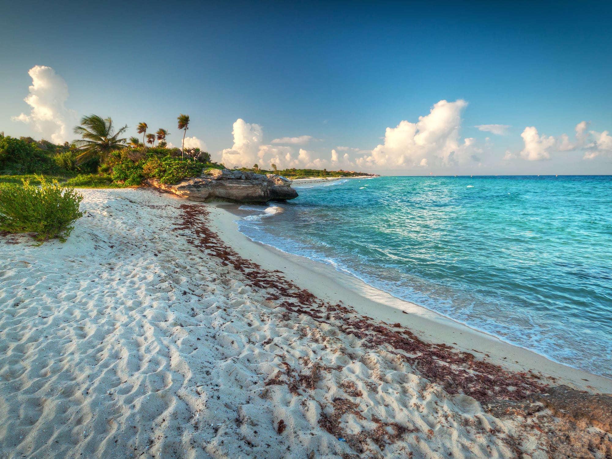 a beach with palm trees and blue water