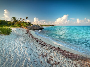 a beach with palm trees and blue water