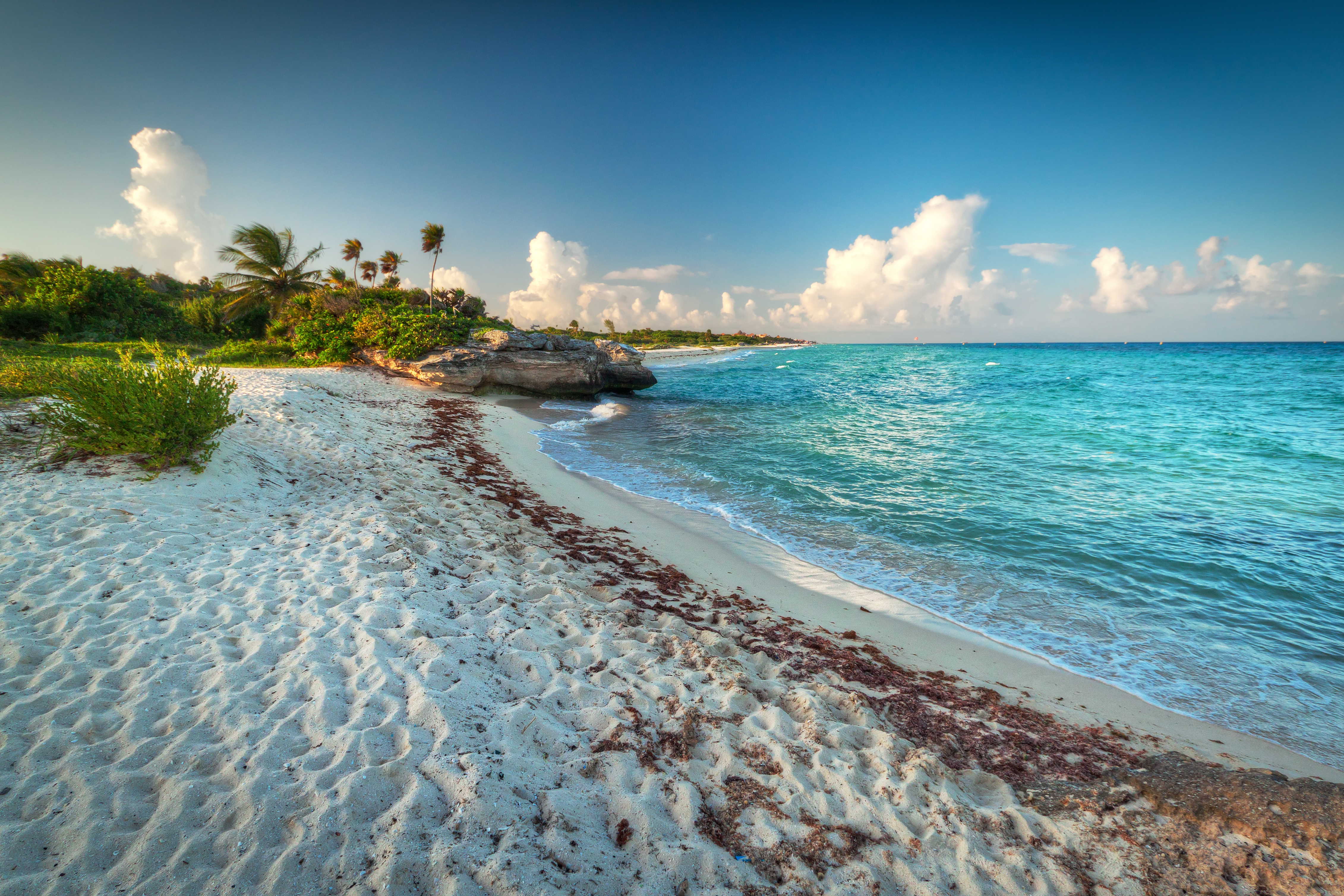 Playa caribeña de arena blanca, mar turquesa, palmeras y rocas.