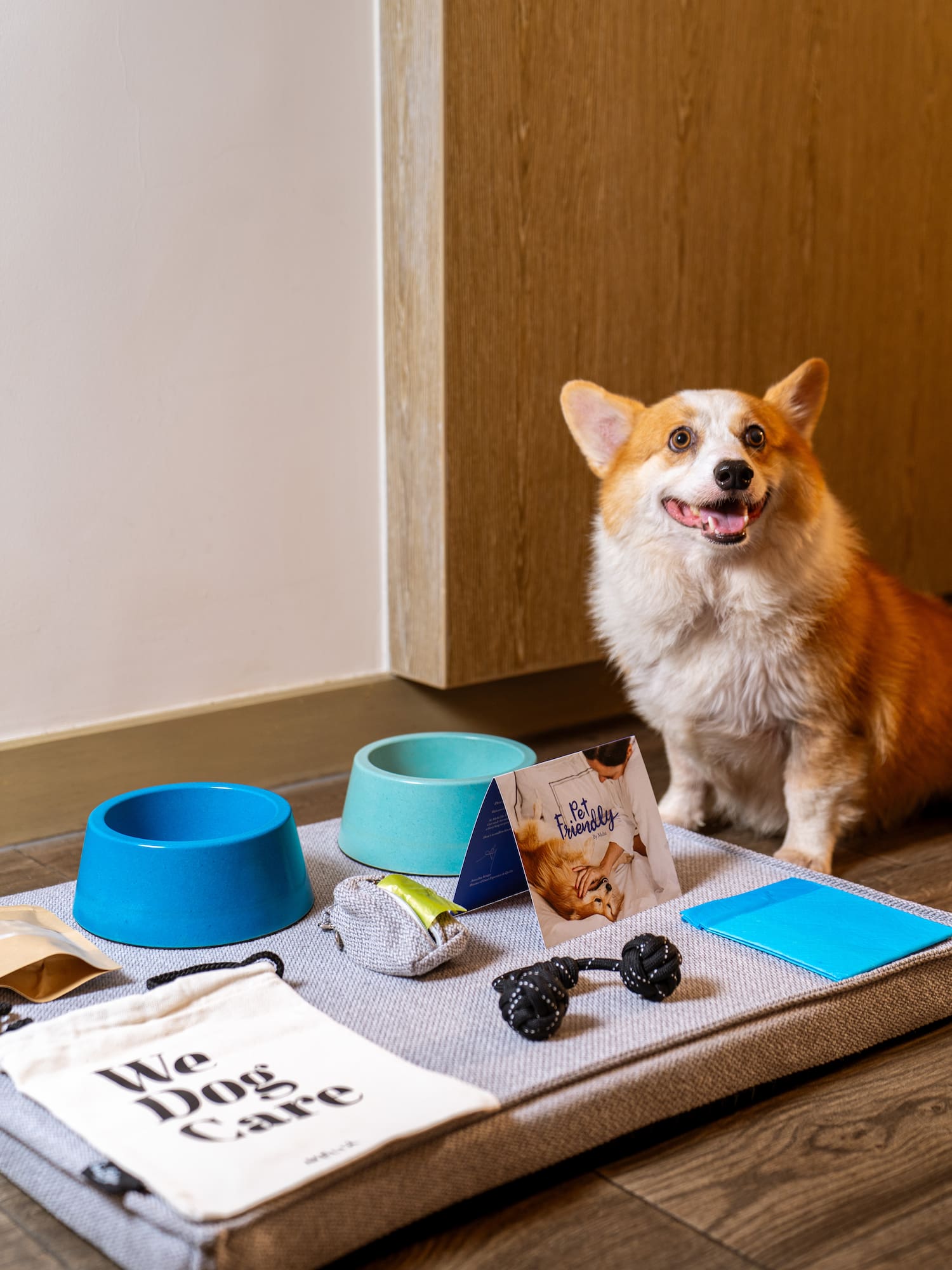 Smiling corgi with pet welcome kit: dog bed, bowls, toys. Pet-friendly hotel.