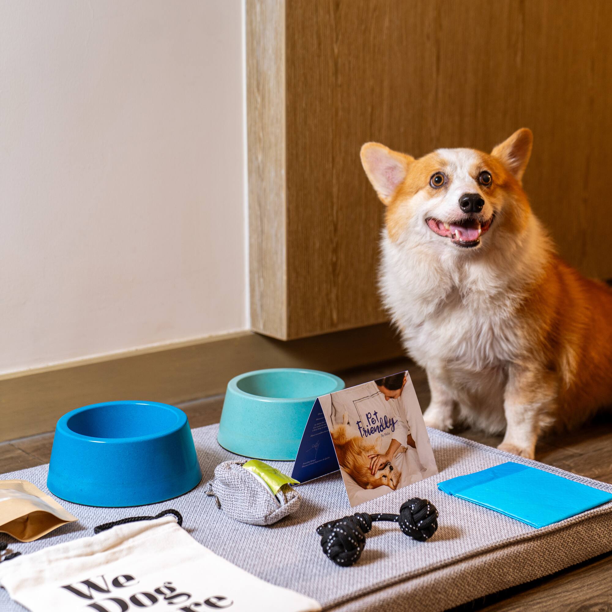 a dog sitting on a mat with food and toys