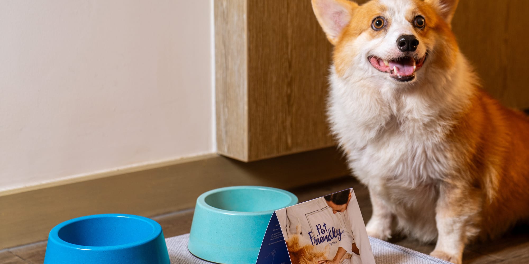 a dog sitting on a mat with food and toys