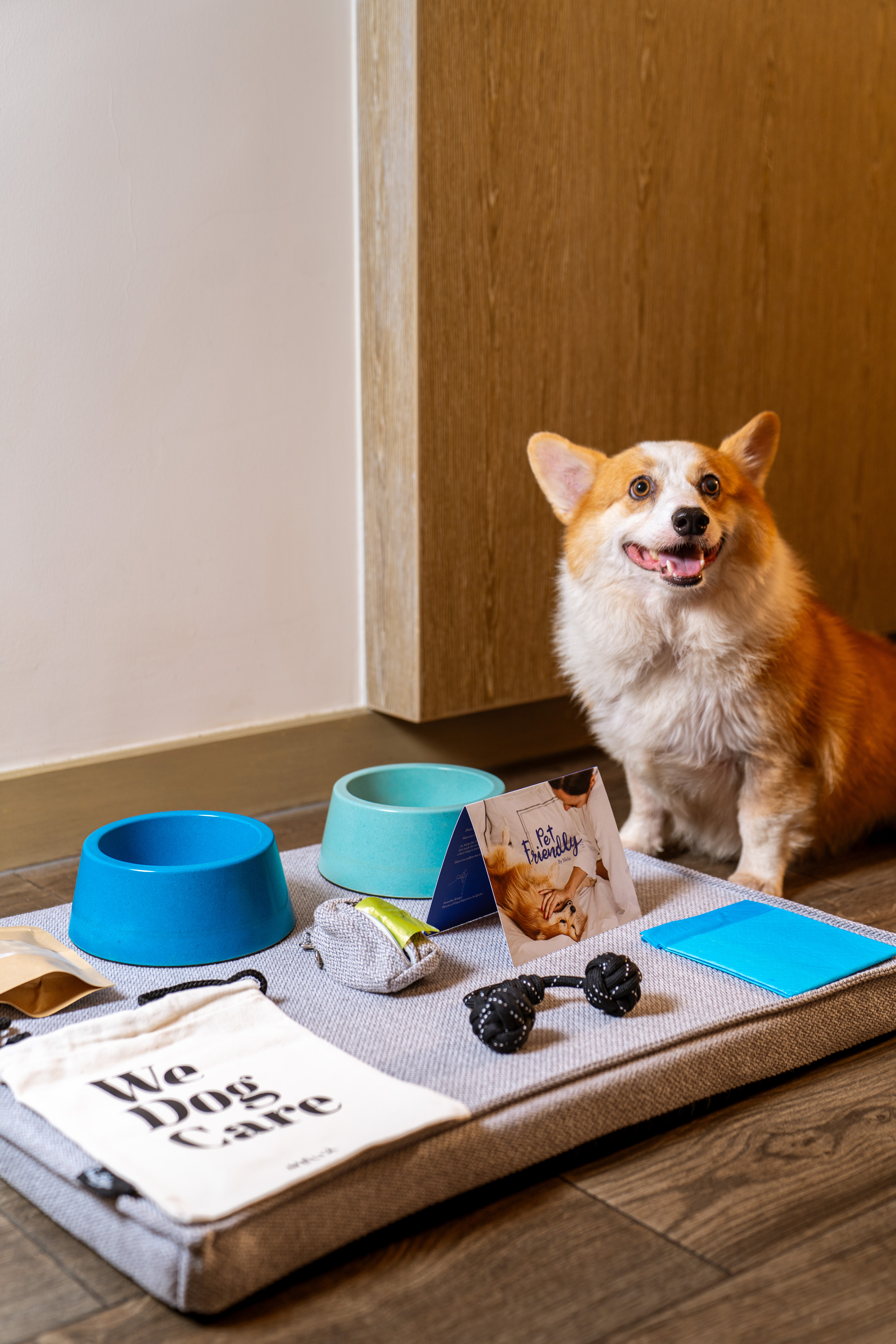 Smiling corgi with pet welcome kit: dog bed, bowls, toys. Pet-friendly hotel.
