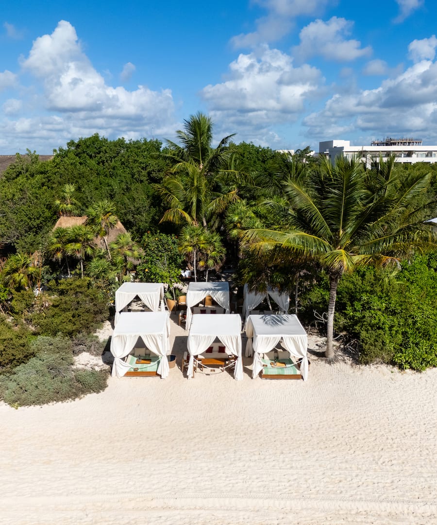 Paradisus La Perla
