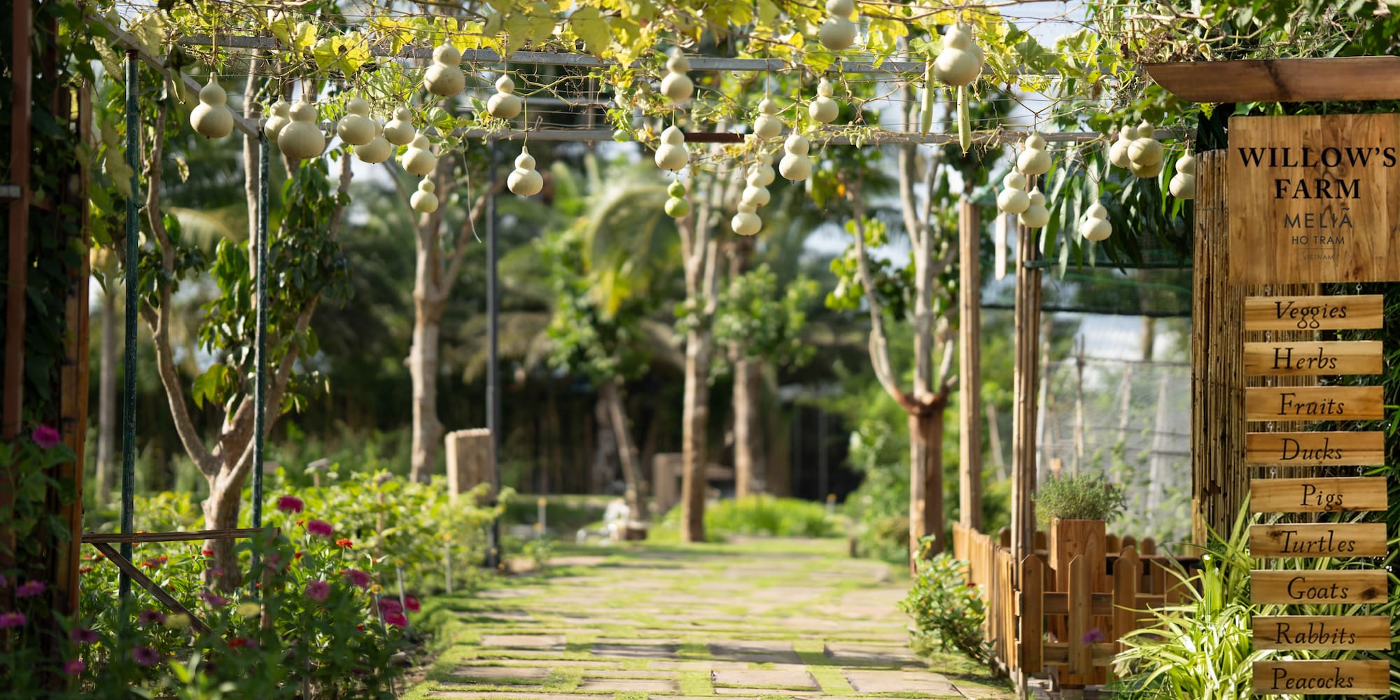 a walkway with plants and trees