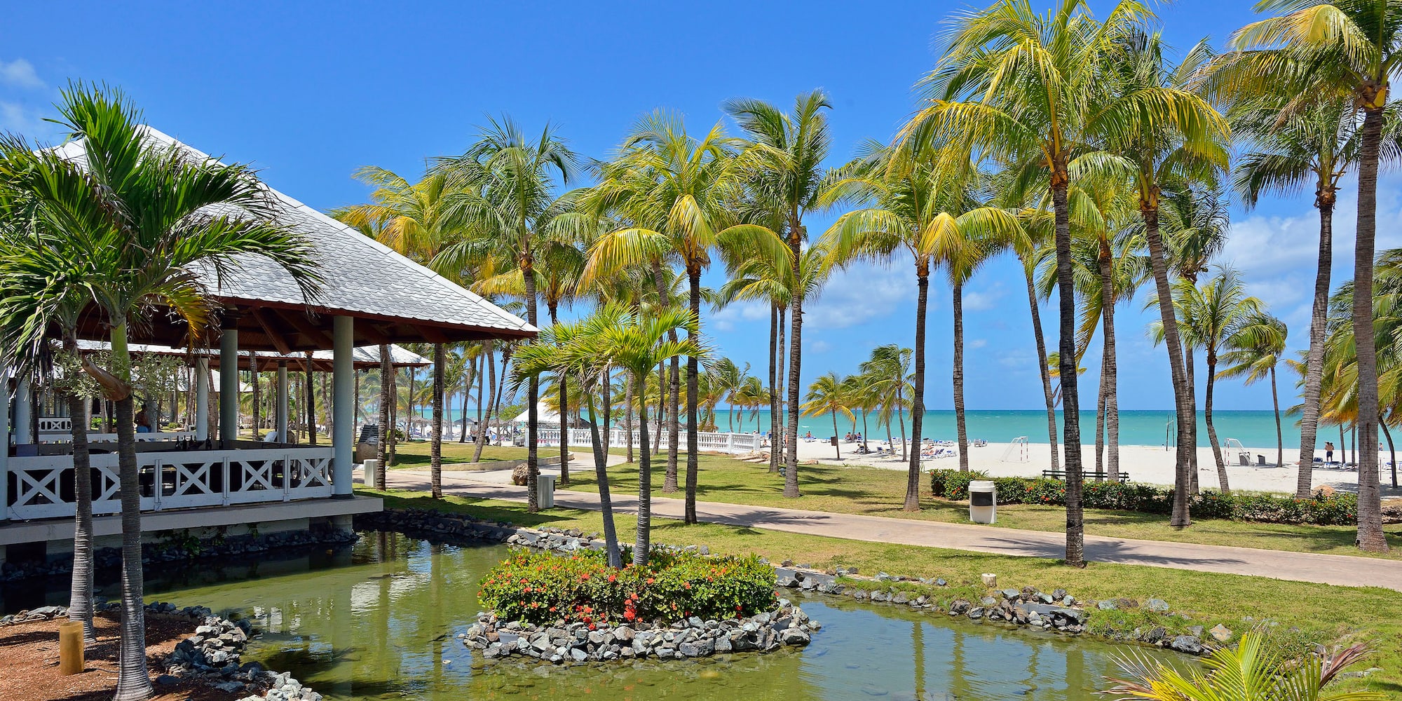 a pond with palm trees and a building on the beach