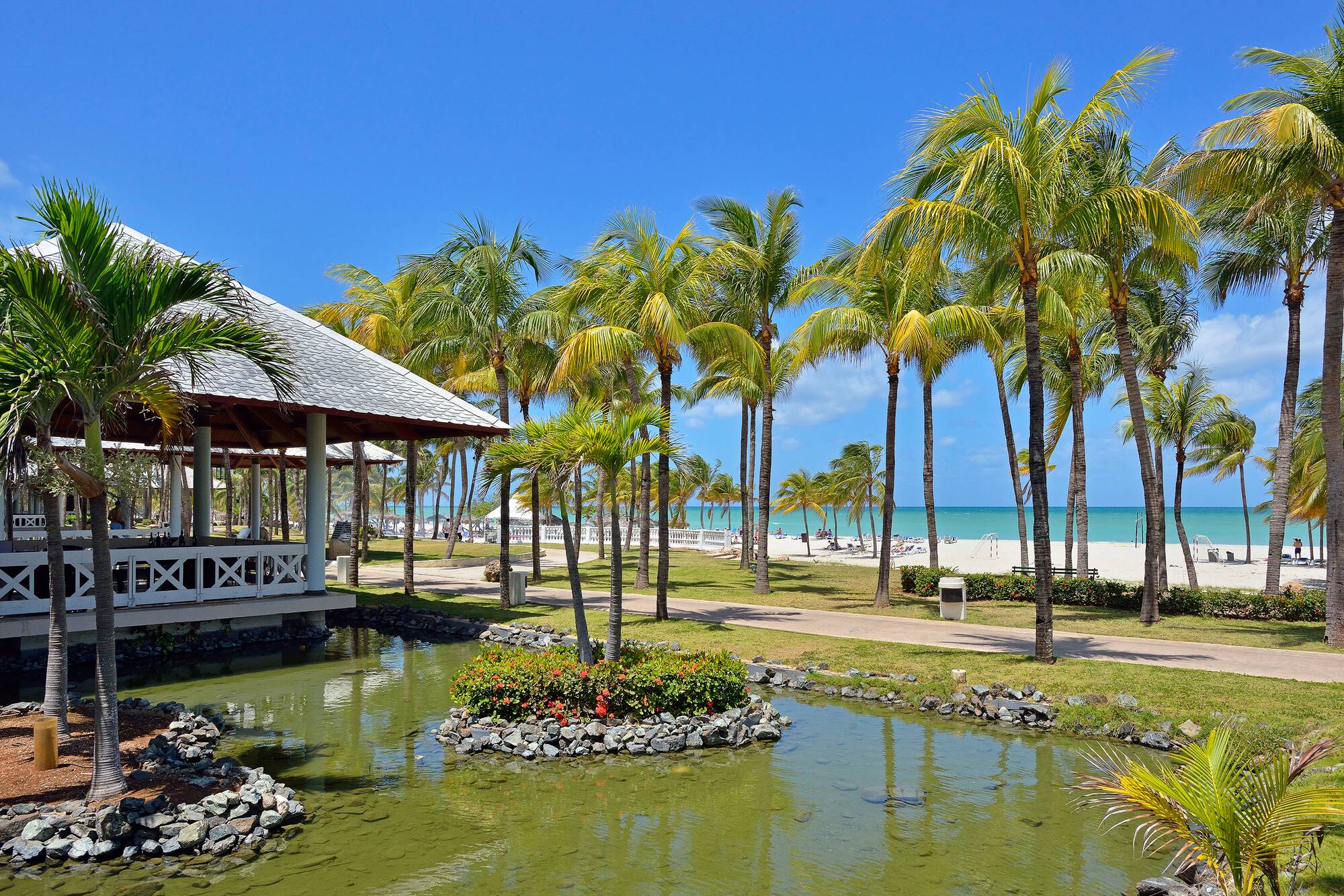 a pond with palm trees and a building on the beach