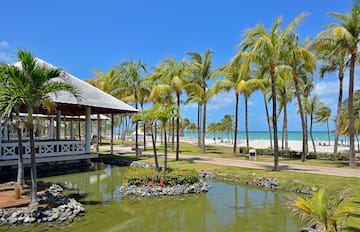 a pond with palm trees and a building on the beach
