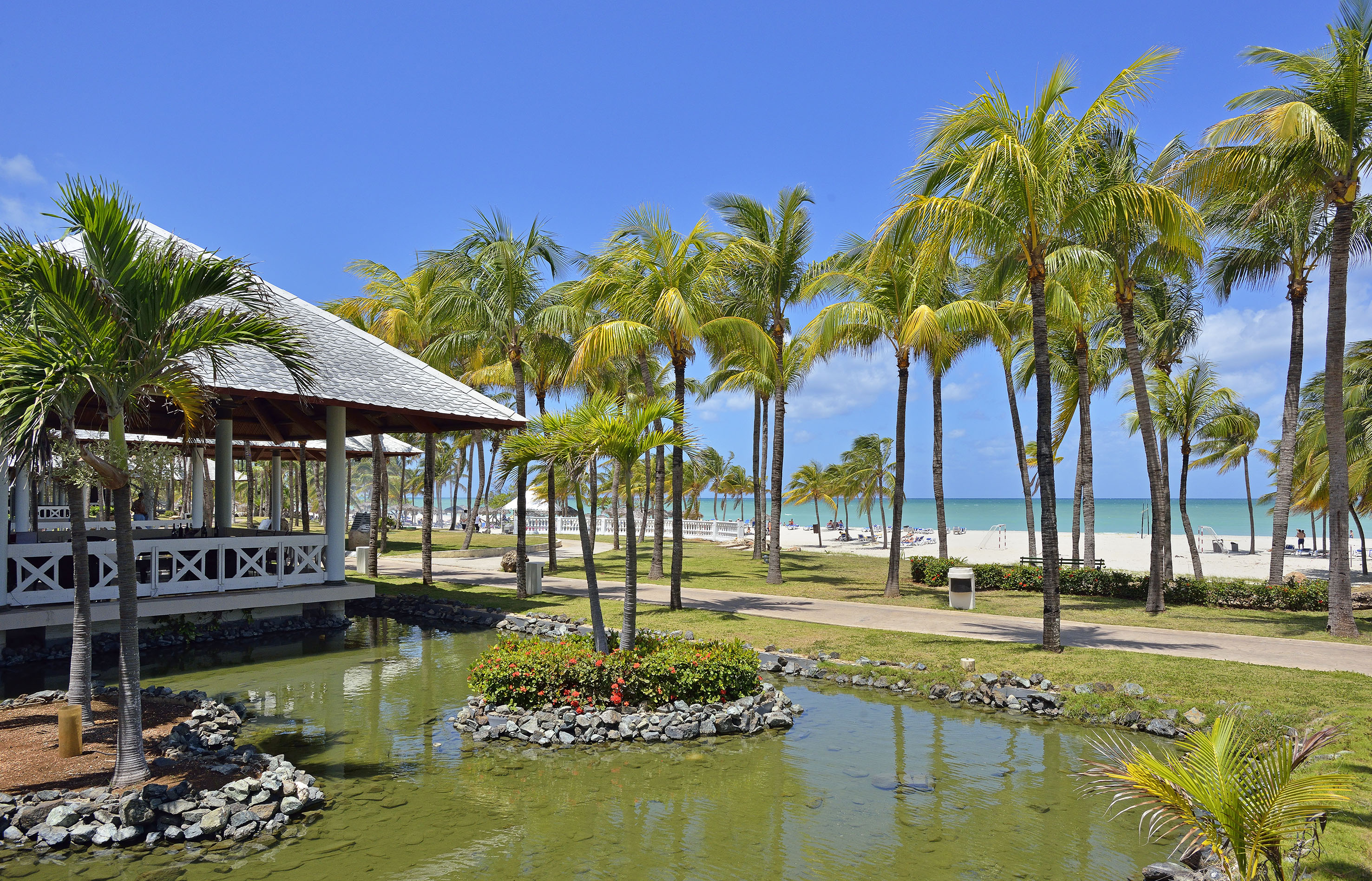 a pond with palm trees and a building on the beach