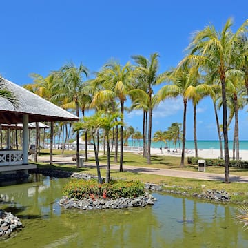 a pond with palm trees and a building on the beach