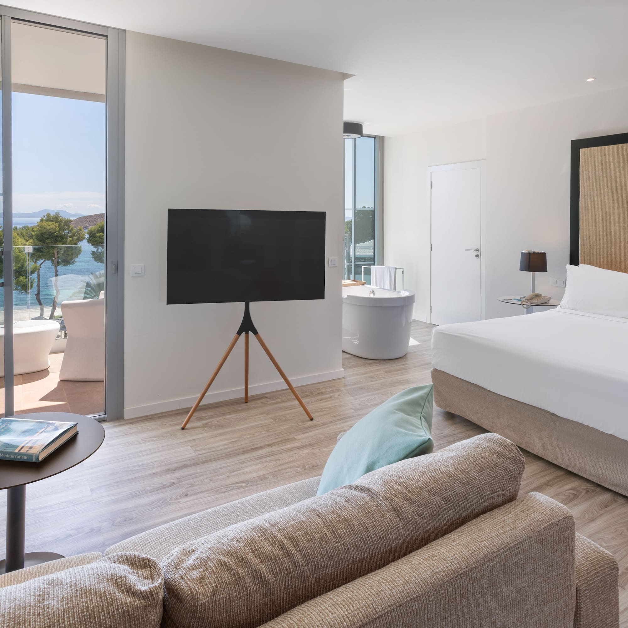 a room with a television and a tub