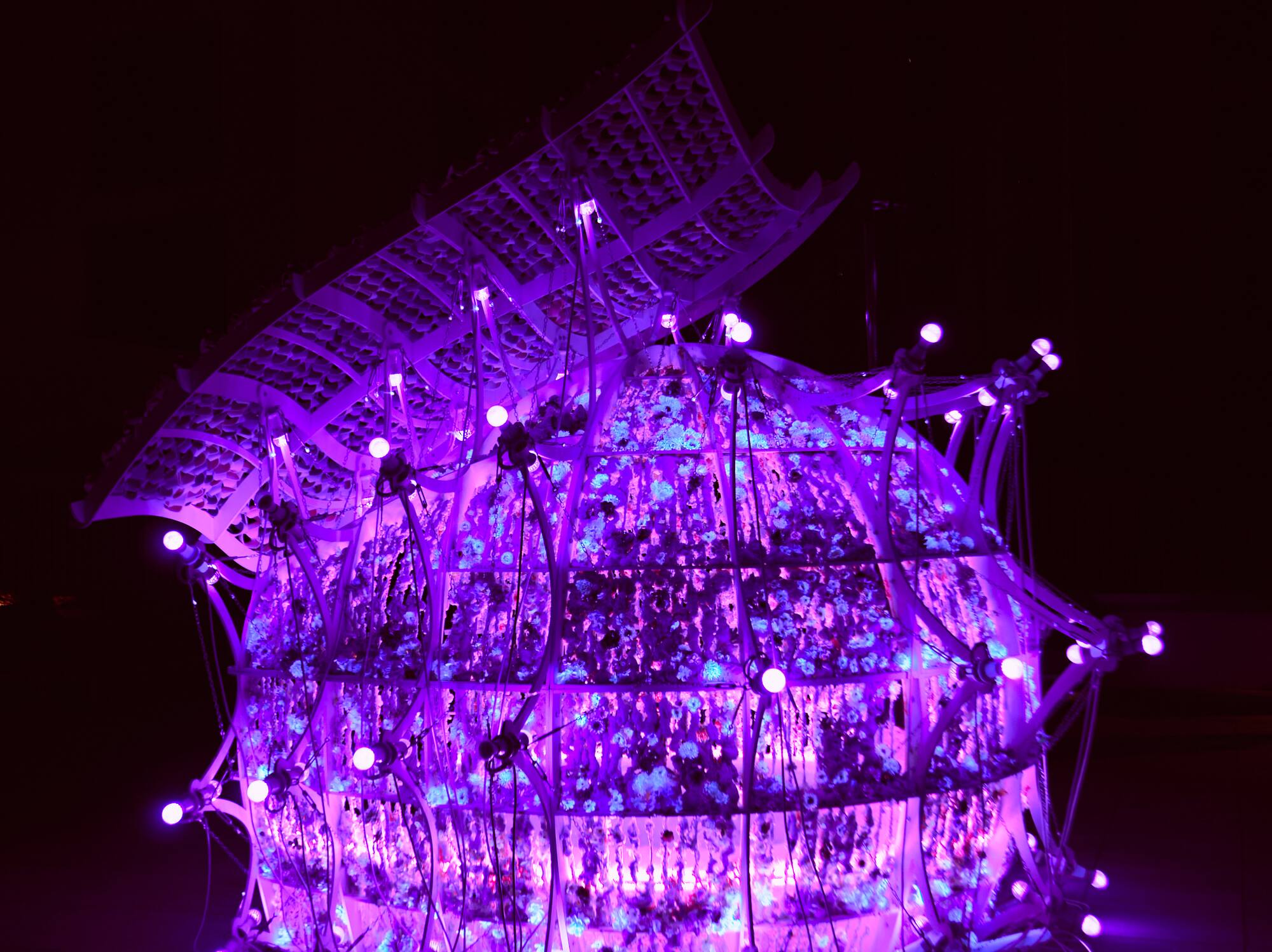 a purple light in a shape of a ball