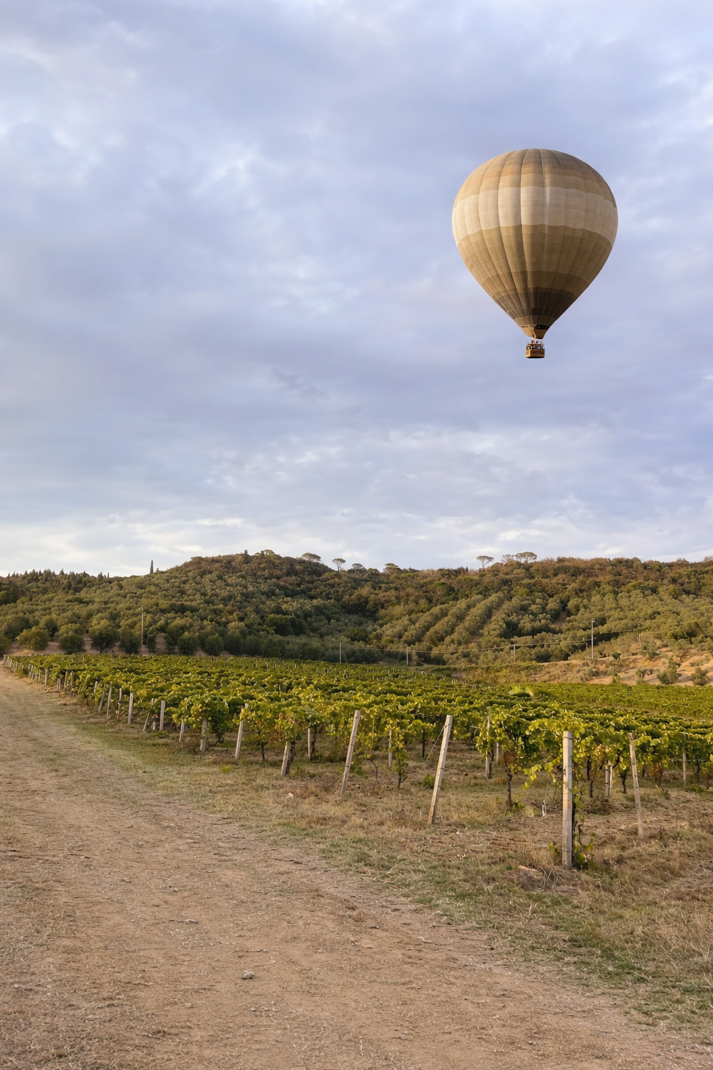 Hot air balloon flying over a Tuscan vineyard with hills under a cloudy sky.