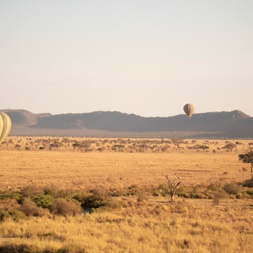 hot air balloons in the sky