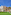 Outdoor resort gym: spinning bikes, yoga mats, and fitness equipment on turf.