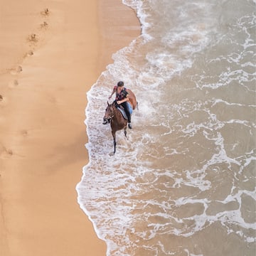 a person riding a horse in the water