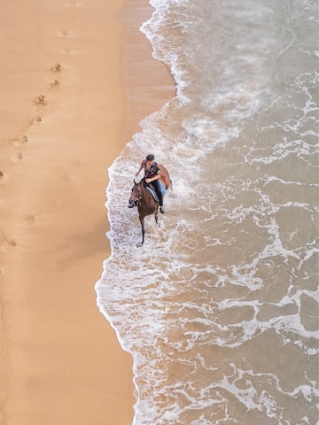 a person riding a horse in the water