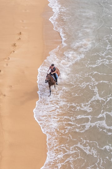 a person riding a horse in the water