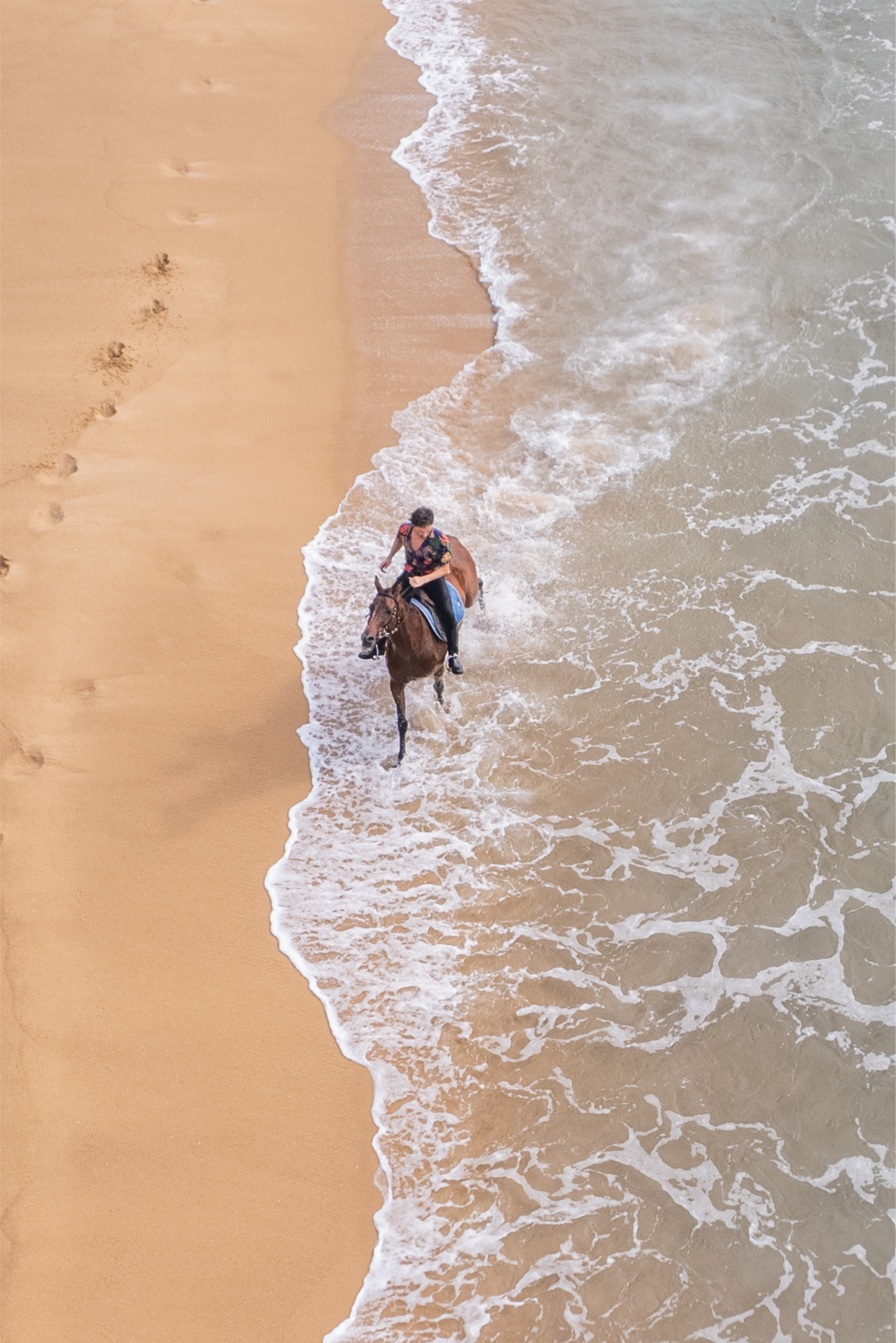 Aerial view of a person riding a brown horse in ocean surf by a sandy beach.