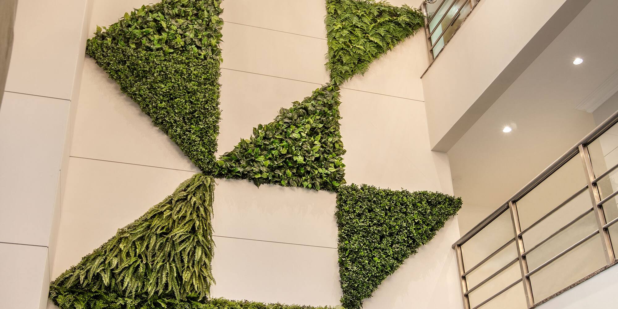 a green plant on a wall