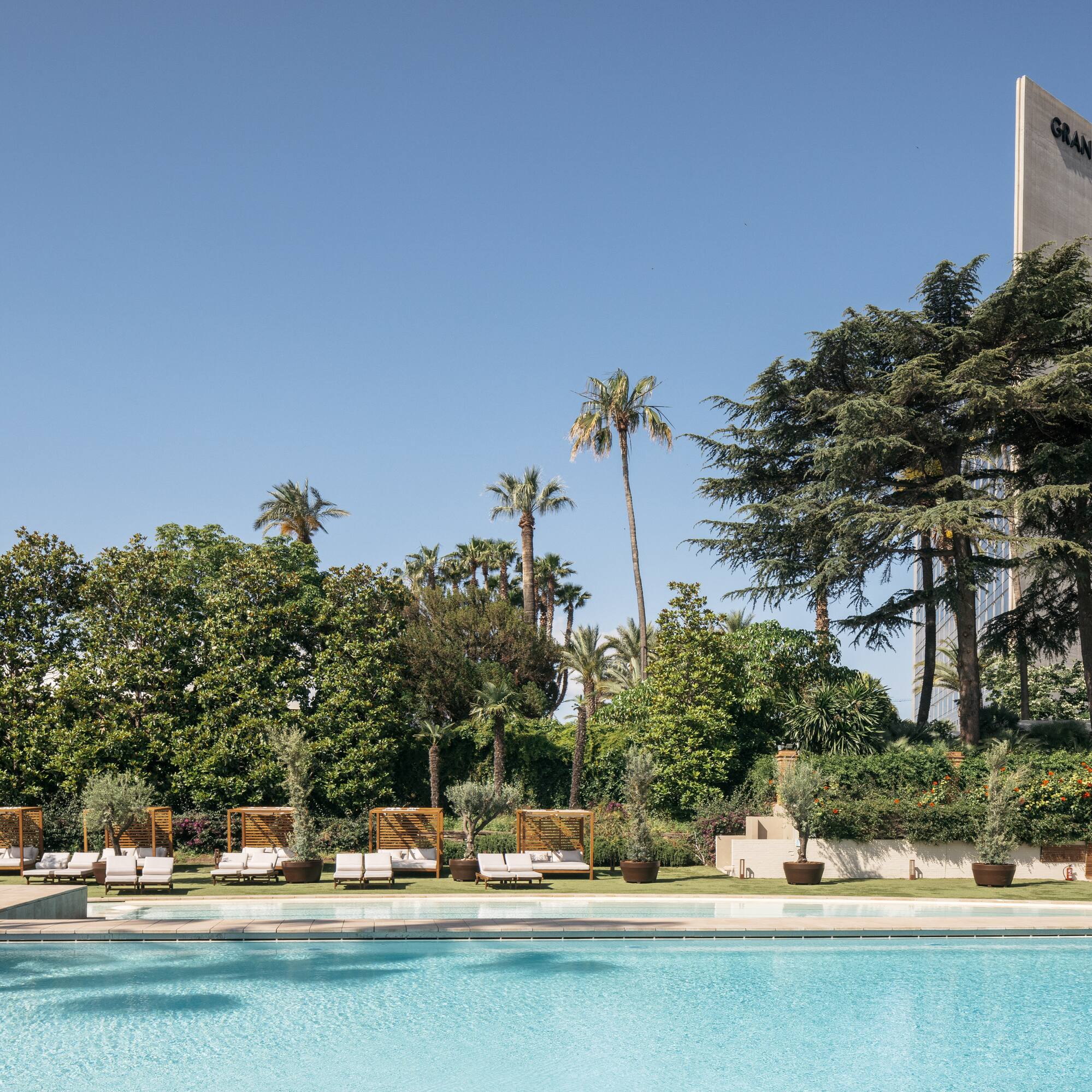 a pool with lounge chairs and trees in the background