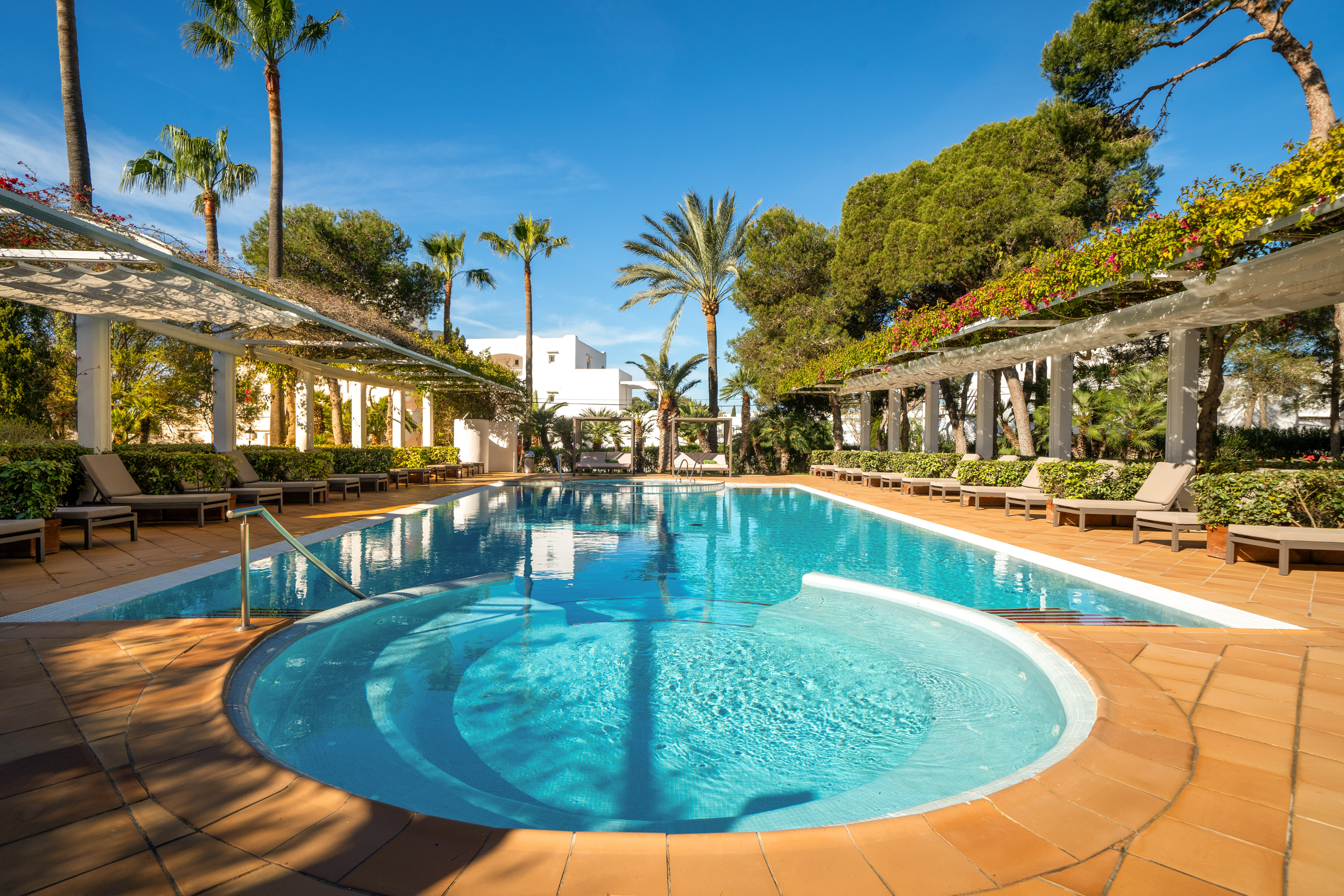 Resort swimming pool with sun loungers, palm trees, and vine-covered pergolas.