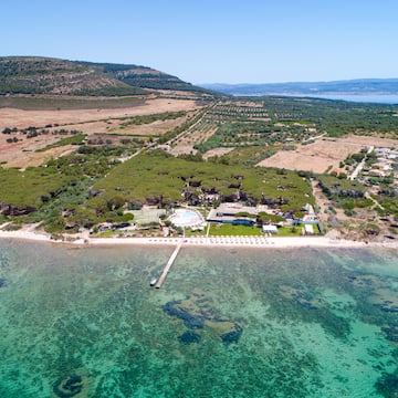 an aerial view of a beach with a pool and trees